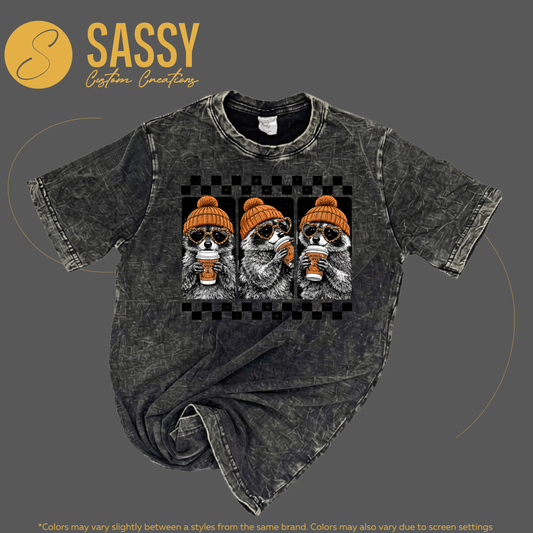 PUMPKIN SPICE RACCOON